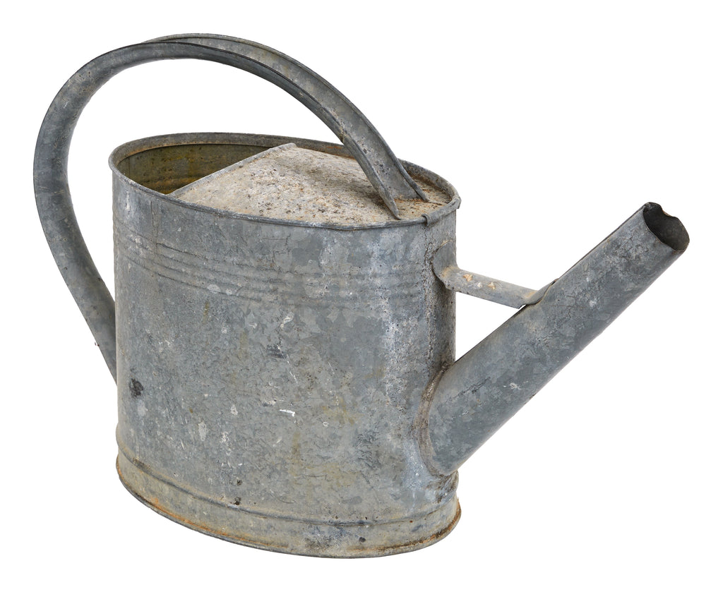 Jayson Home - Vintage French Watering Cans