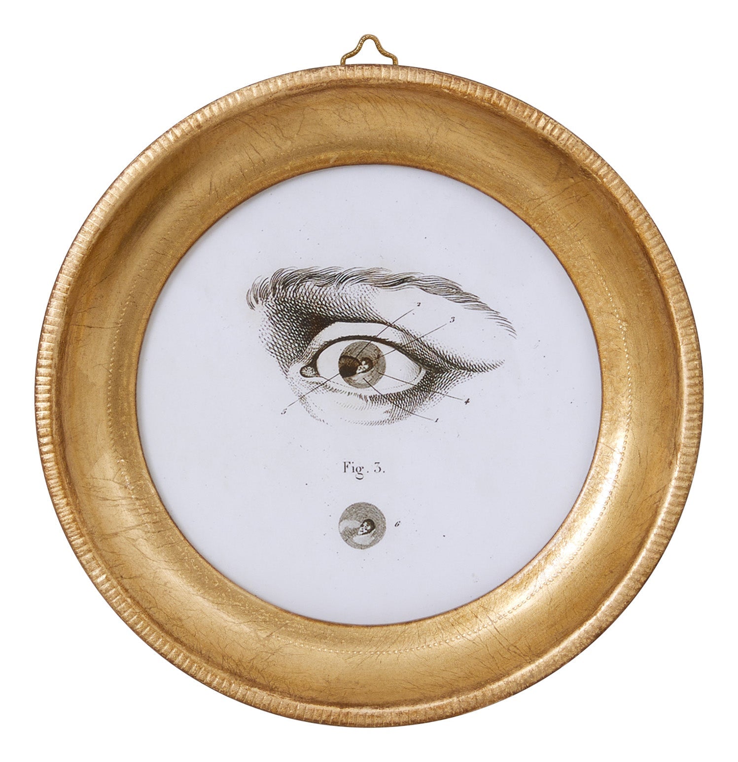 Jayson Home - L'Oeil Study