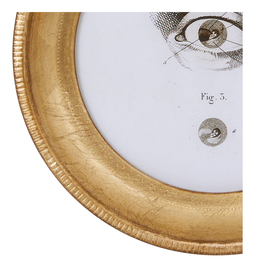 Jayson Home - L'Oeil Study