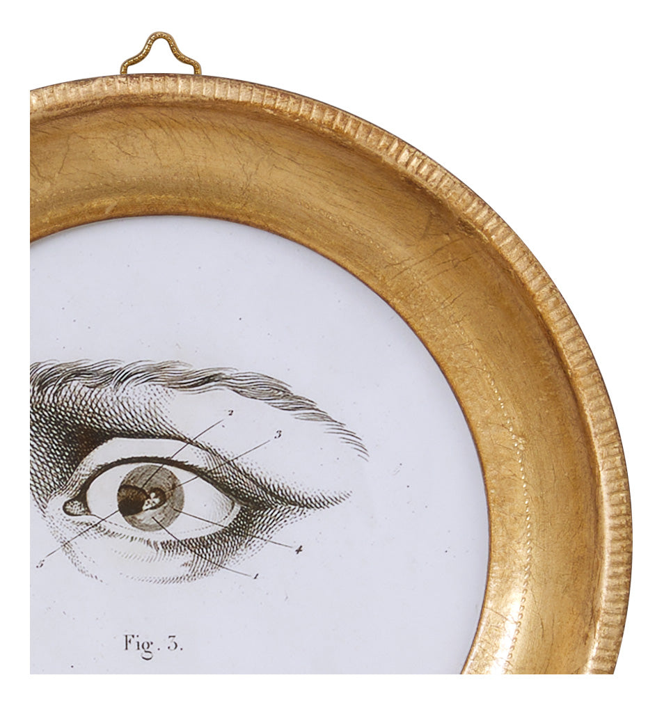Jayson Home - L'Oeil Study