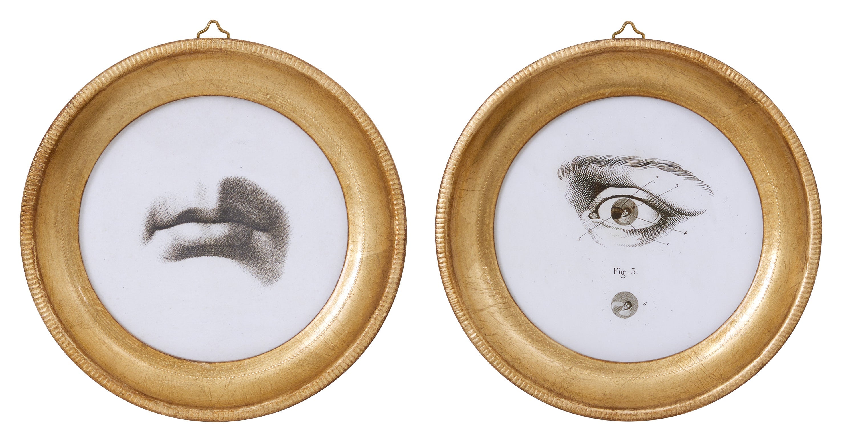 Jayson Home - L'Oeil Study