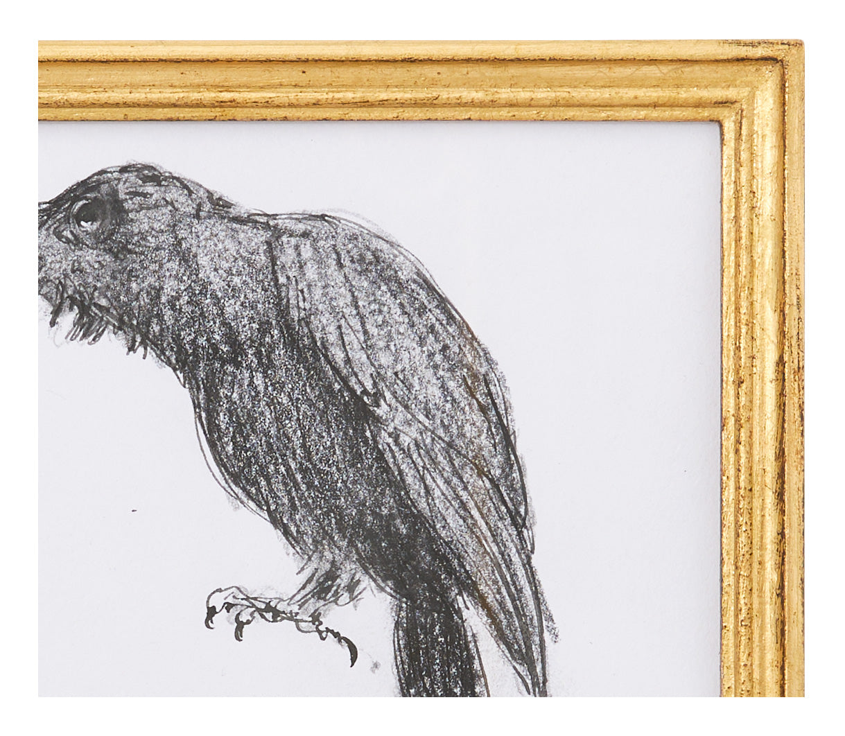 Jayson Home - Original Crow Art