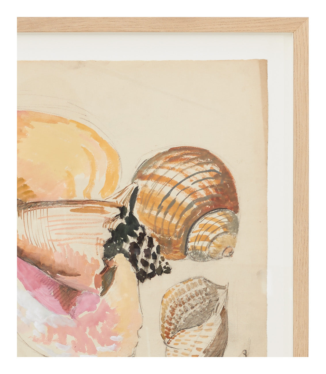 Jayson Home - Vintage Seashell Watercolor I