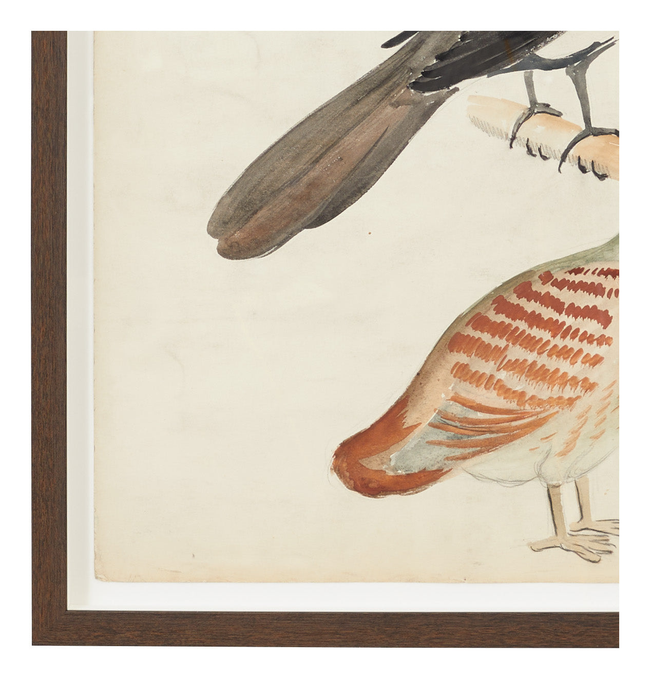 Jayson Home - Vintage Bird Watercolor I