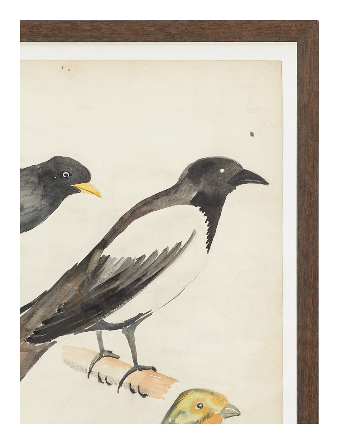 Jayson Home - Vintage Bird Watercolor I