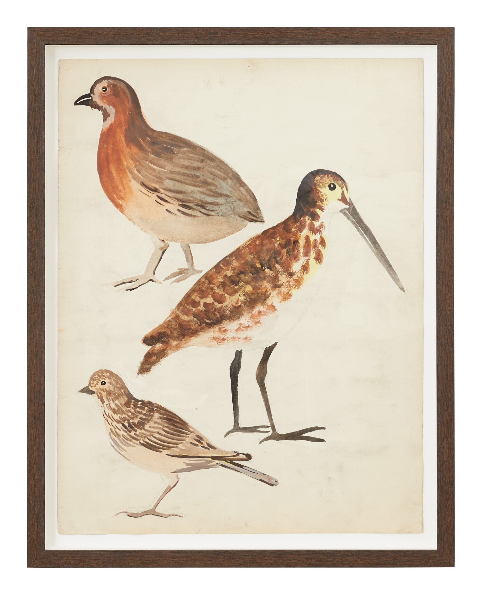 Jayson Home - Vintage Bird Watercolor II