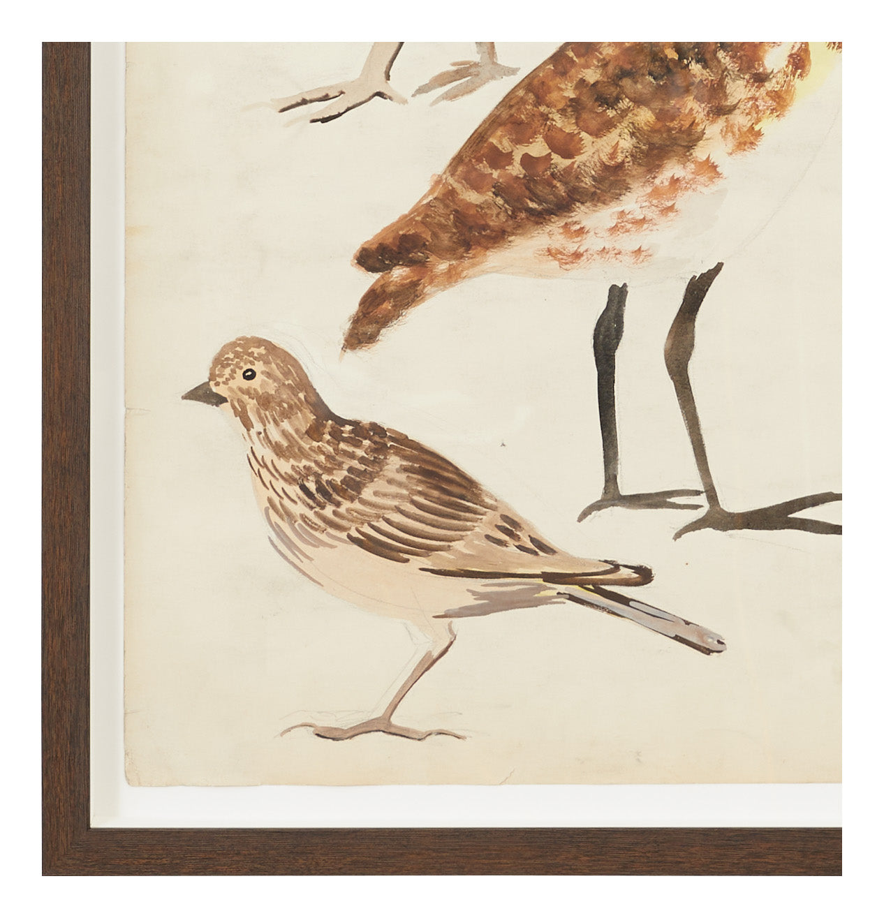 Jayson Home - Vintage Bird Watercolor II