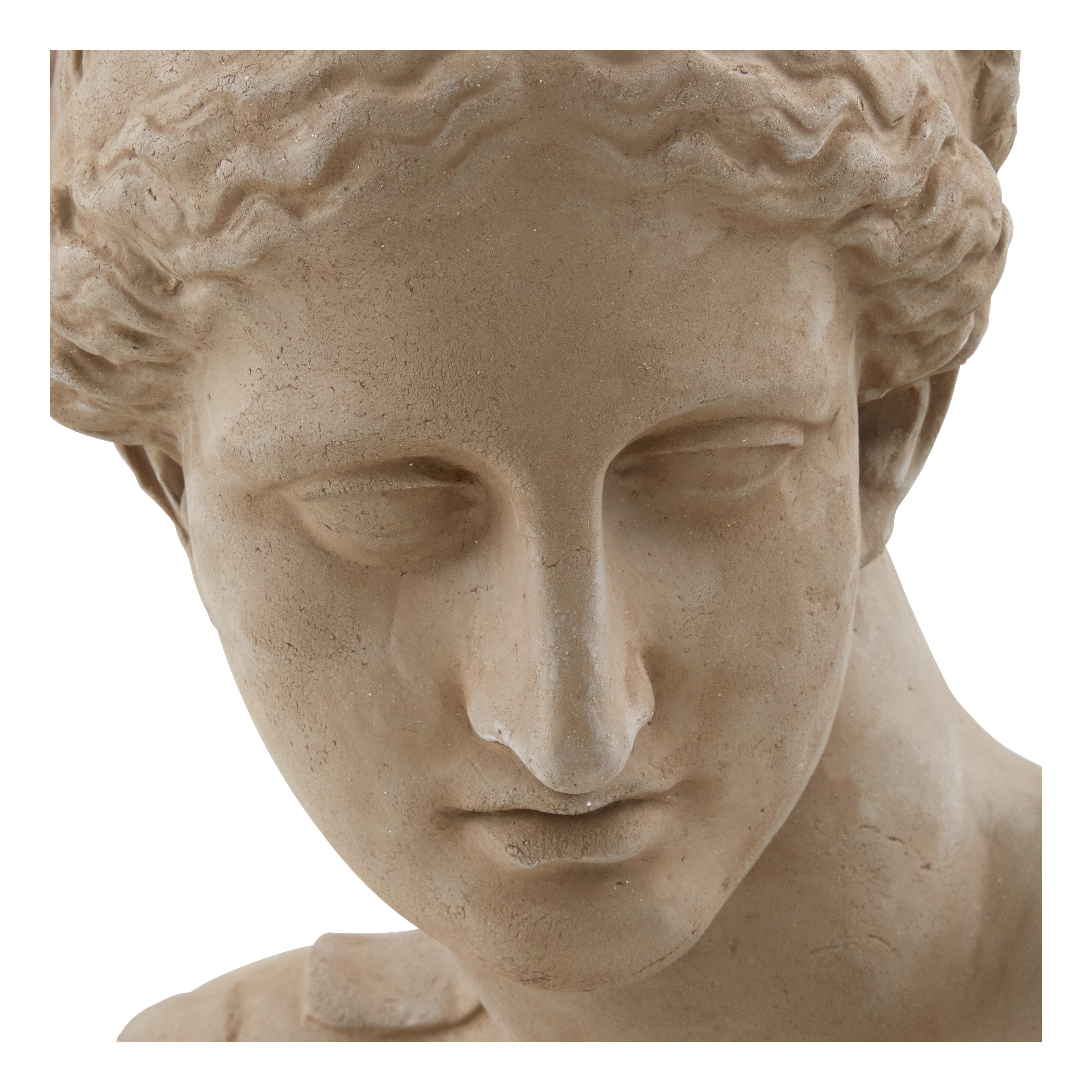 Jayson Home - Astier de Villatte Venus Bust