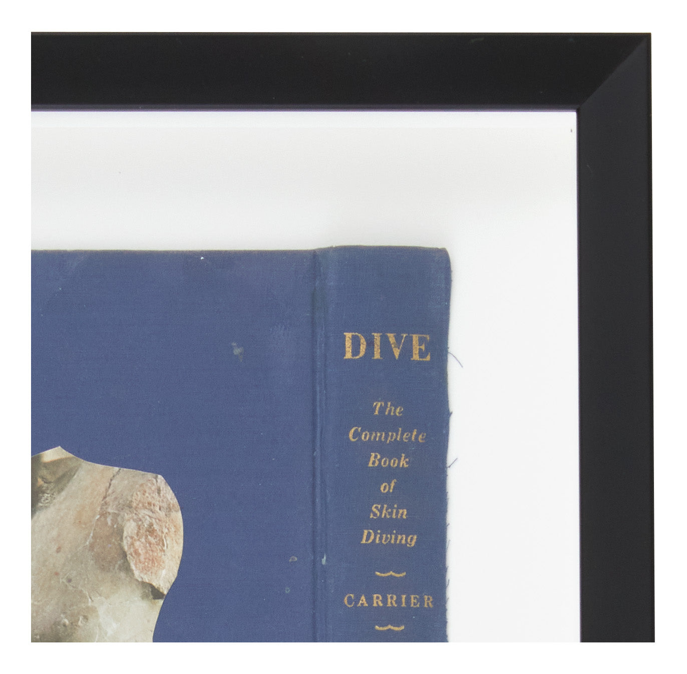 Jayson Home - James Gallagher Still Life Collage #7