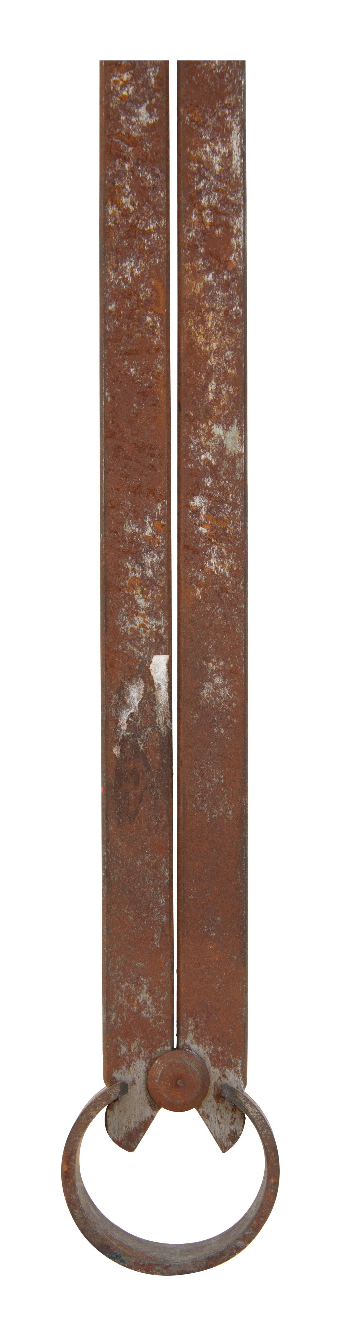 Jayson Home - Vintage Tree Caliper