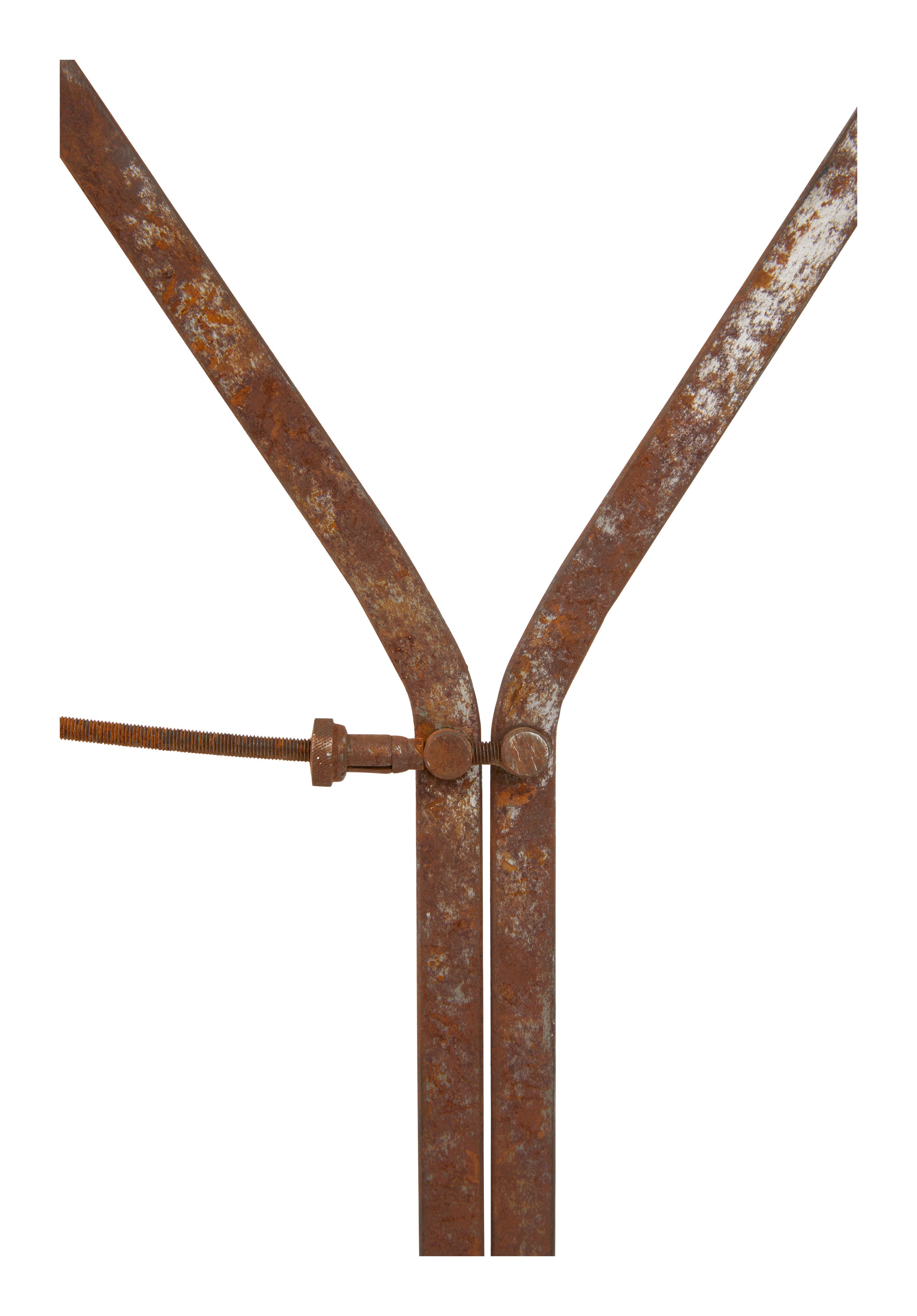 Jayson Home - Vintage Tree Caliper
