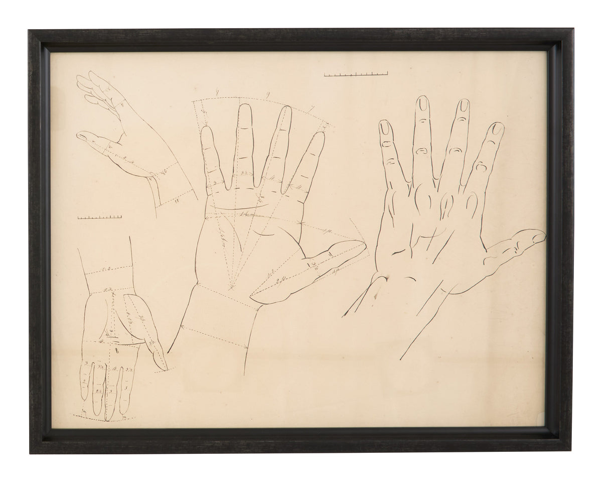 Jayson Home - Vintage Hand Diagram