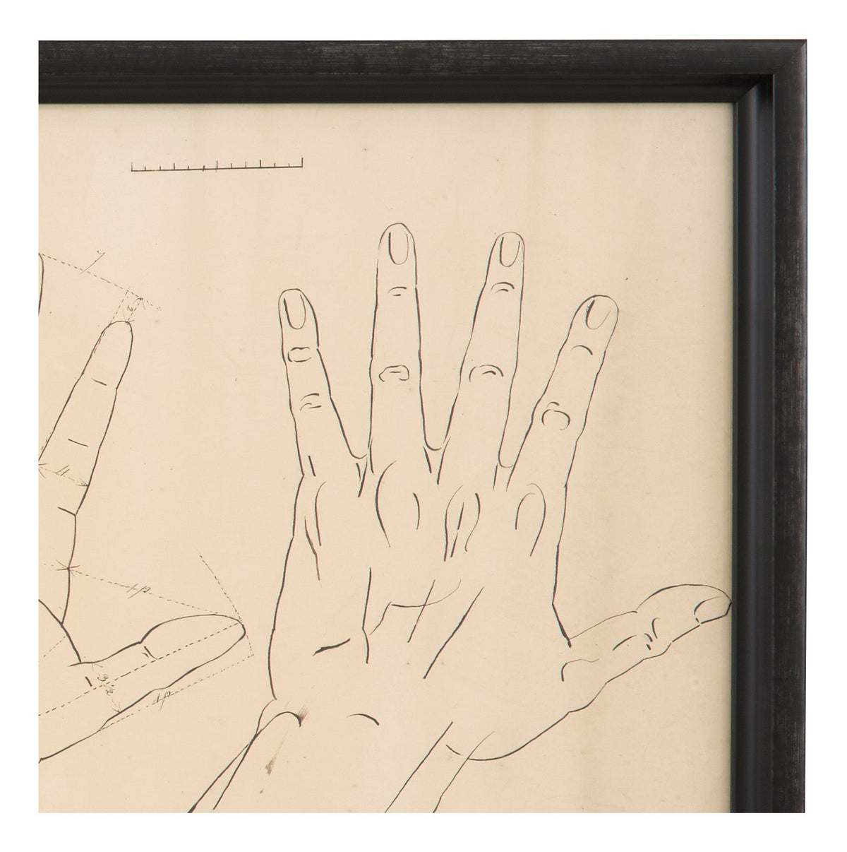Jayson Home - Vintage Hand Diagram