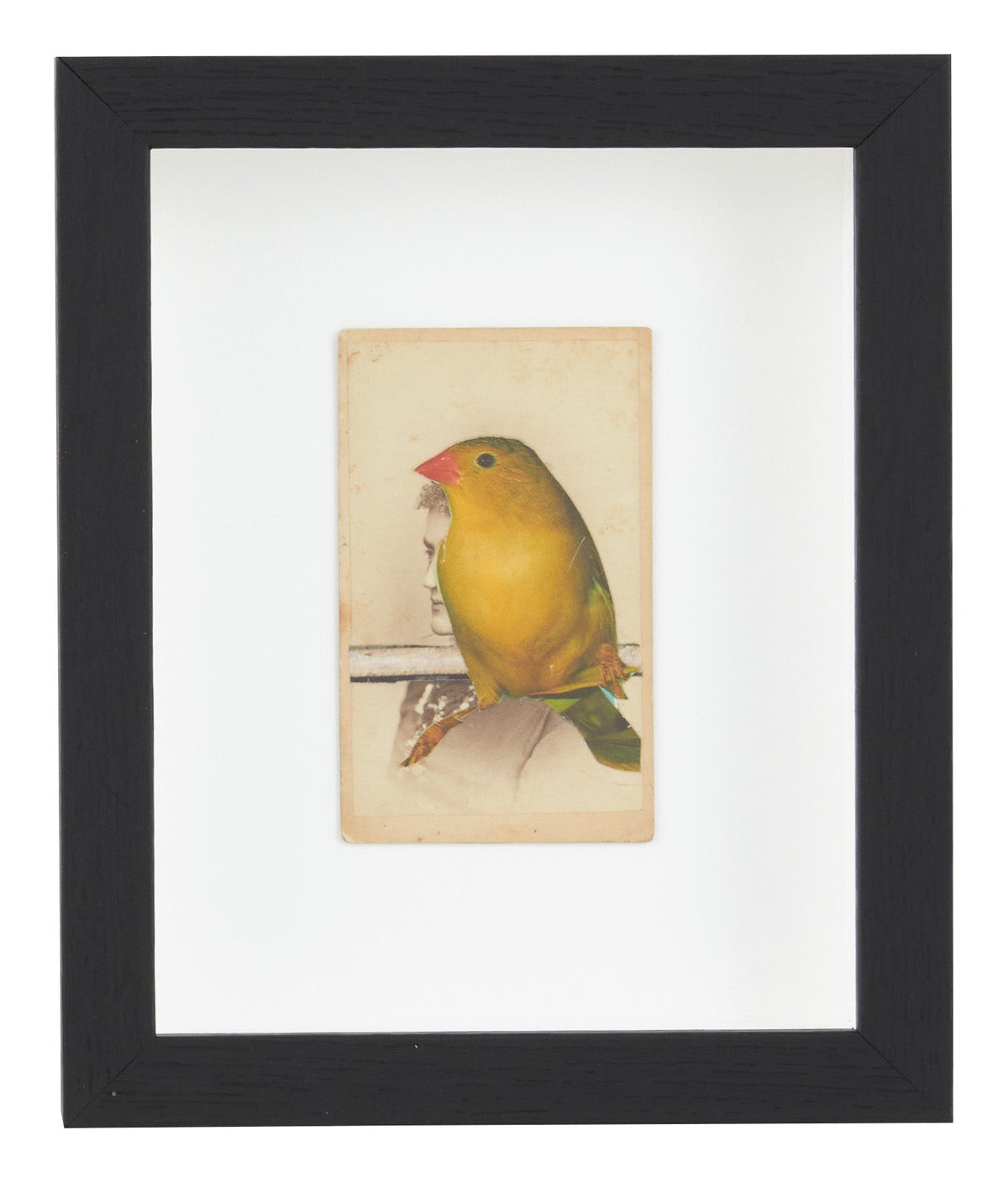 Jayson Home - James Gallagher Still Life Collage #25