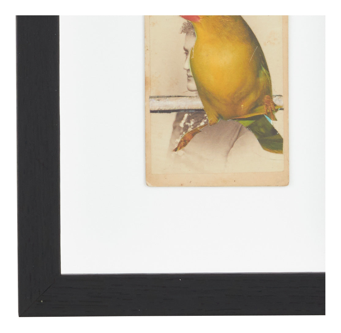 Jayson Home - James Gallagher Still Life Collage #25