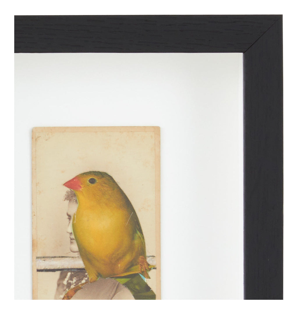 Jayson Home - James Gallagher Still Life Collage #25