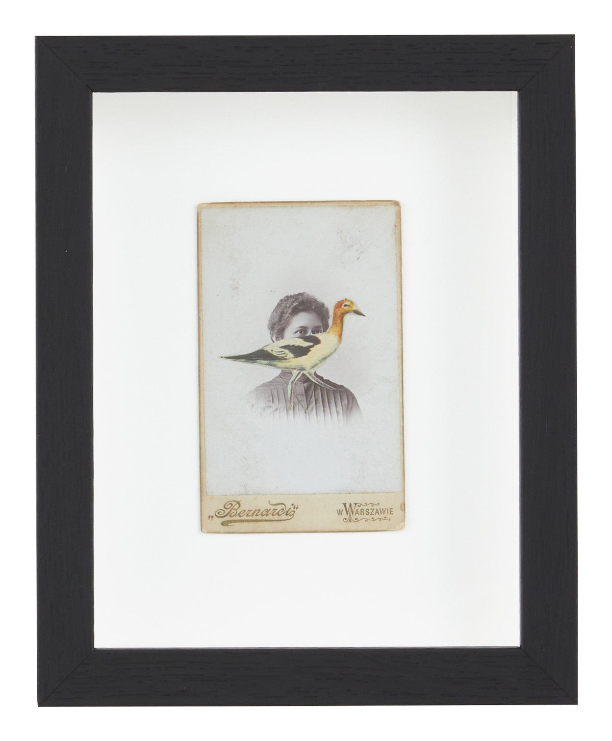 Jayson Home - James Gallagher Still Life Collage #26