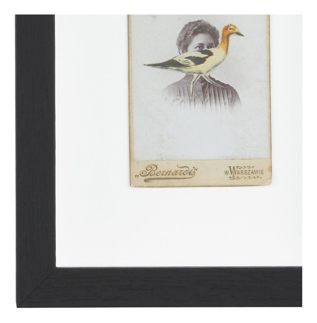 Jayson Home - James Gallagher Still Life Collage #26