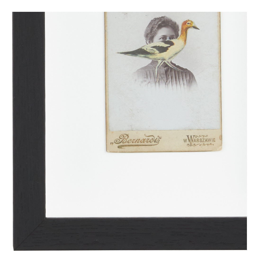Jayson Home - James Gallagher Still Life Collage #26