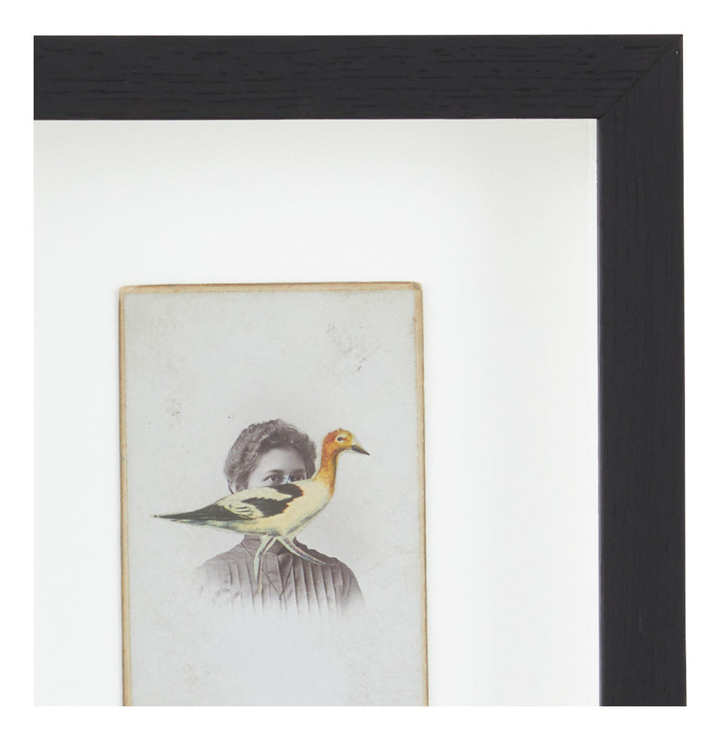 Jayson Home - James Gallagher Still Life Collage #26