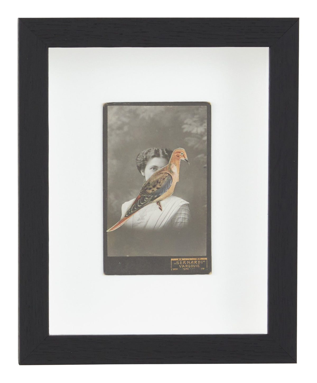 Jayson Home - James Gallagher Still Life Collage #27