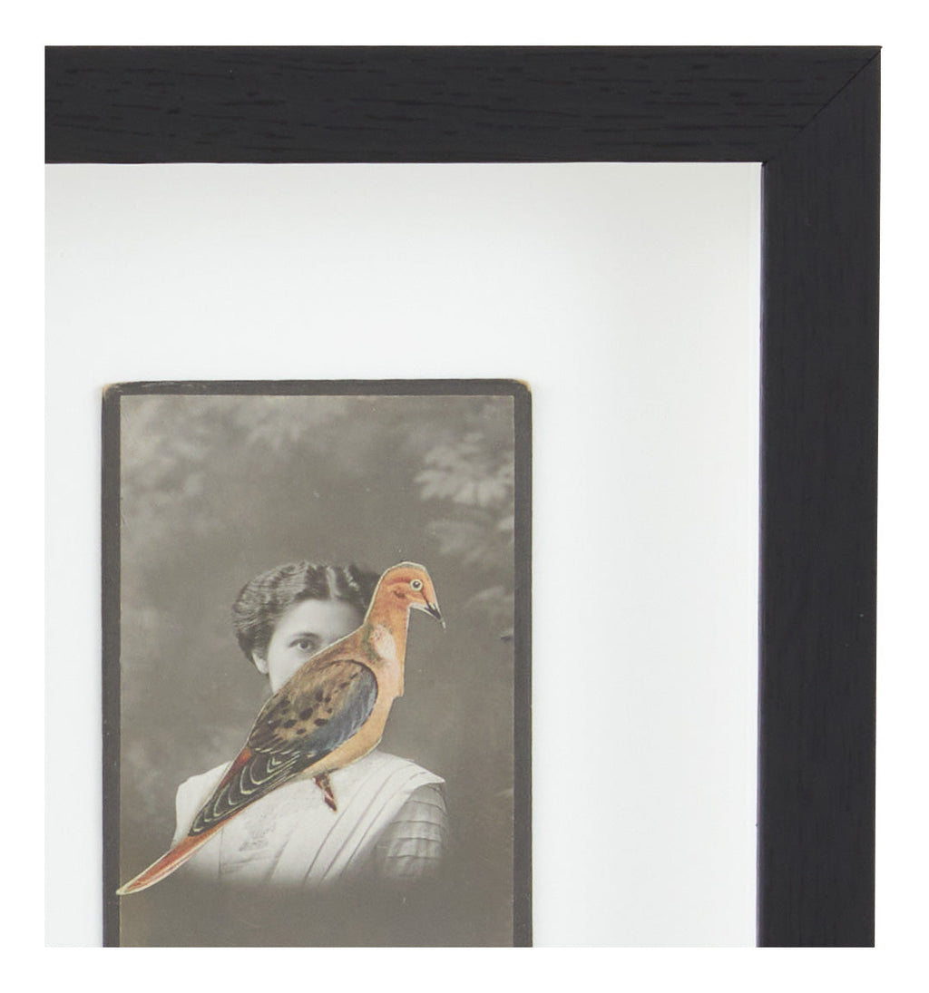 Jayson Home - James Gallagher Still Life Collage #27