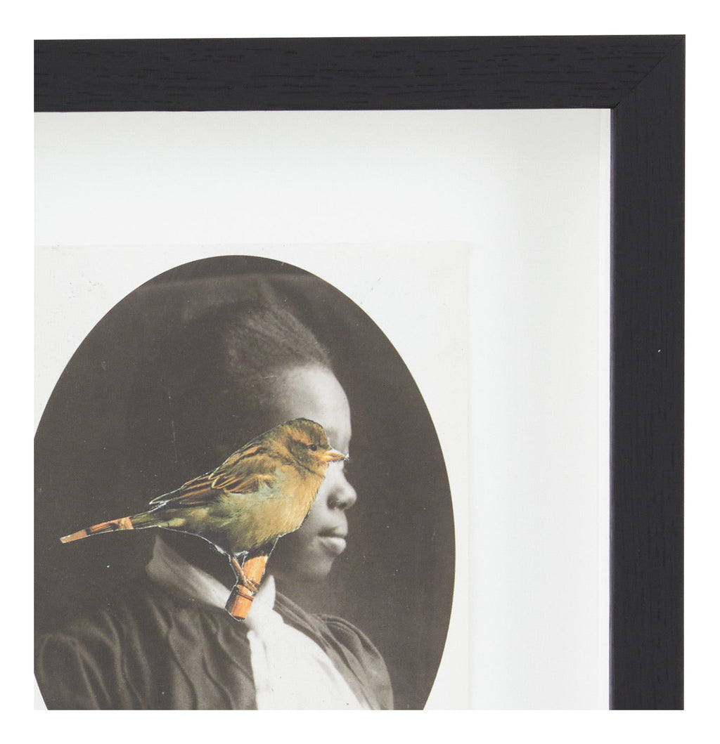 Jayson Home - James Gallagher Still Life Collage #29