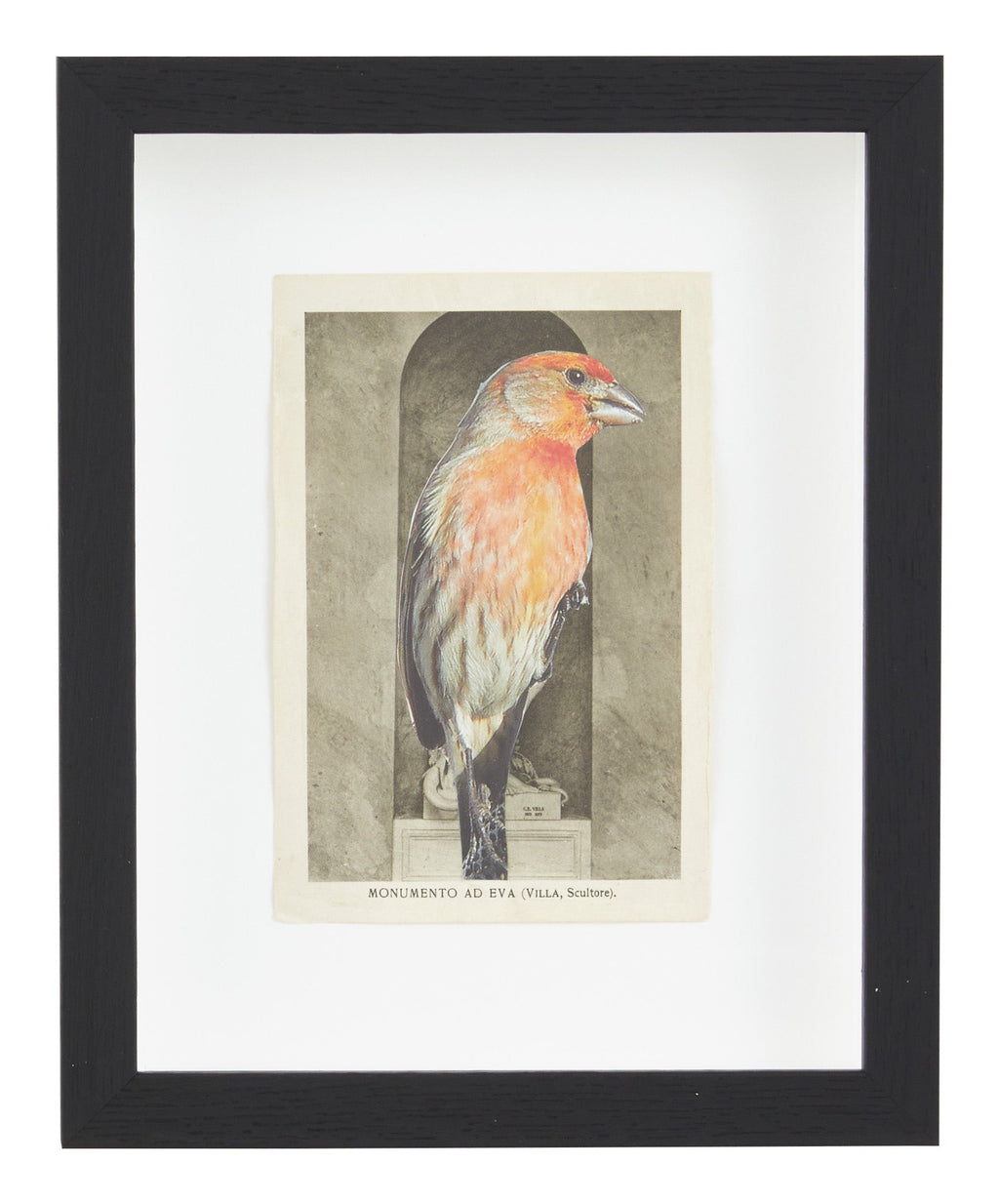 Jayson Home - James Gallagher Still Life Collage #30