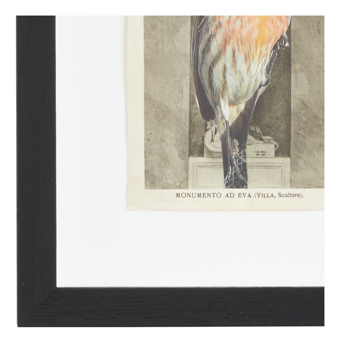Jayson Home - James Gallagher Still Life Collage #30