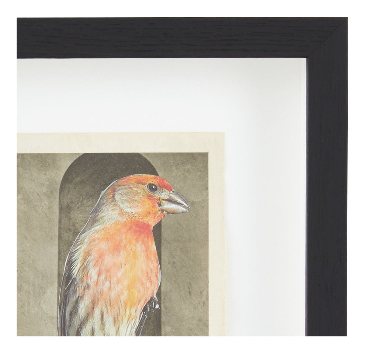Jayson Home - James Gallagher Still Life Collage #30