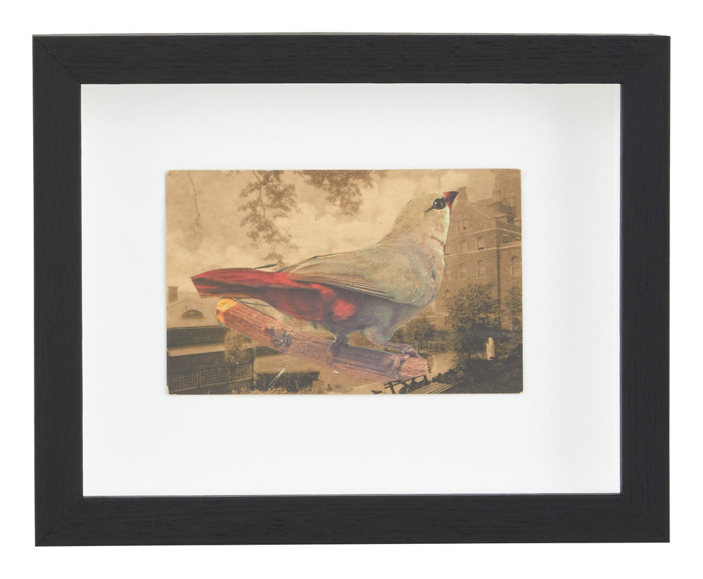 Jayson Home - James Gallagher Still Life Collage #31