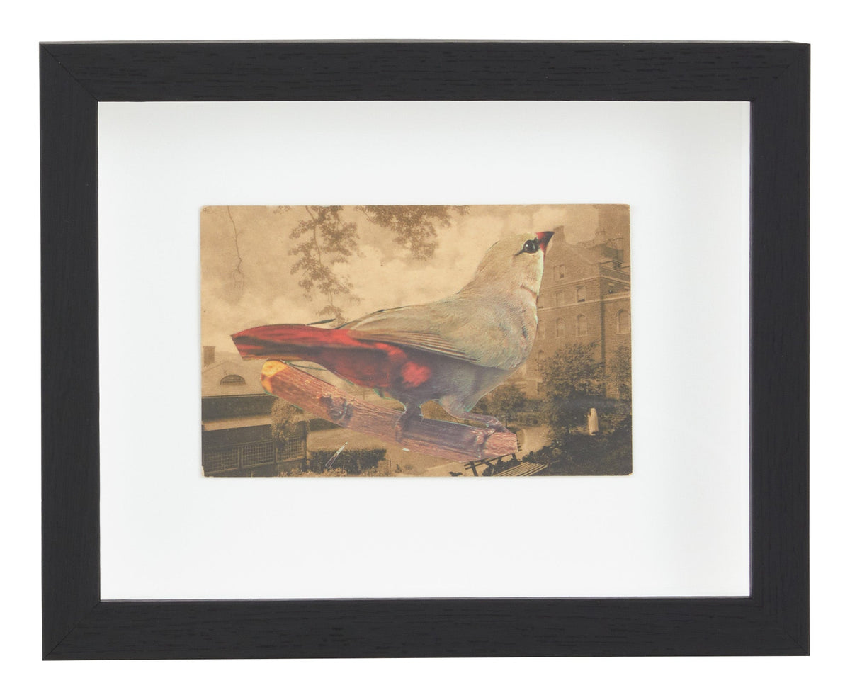 Jayson Home - James Gallagher Still Life Collage #31