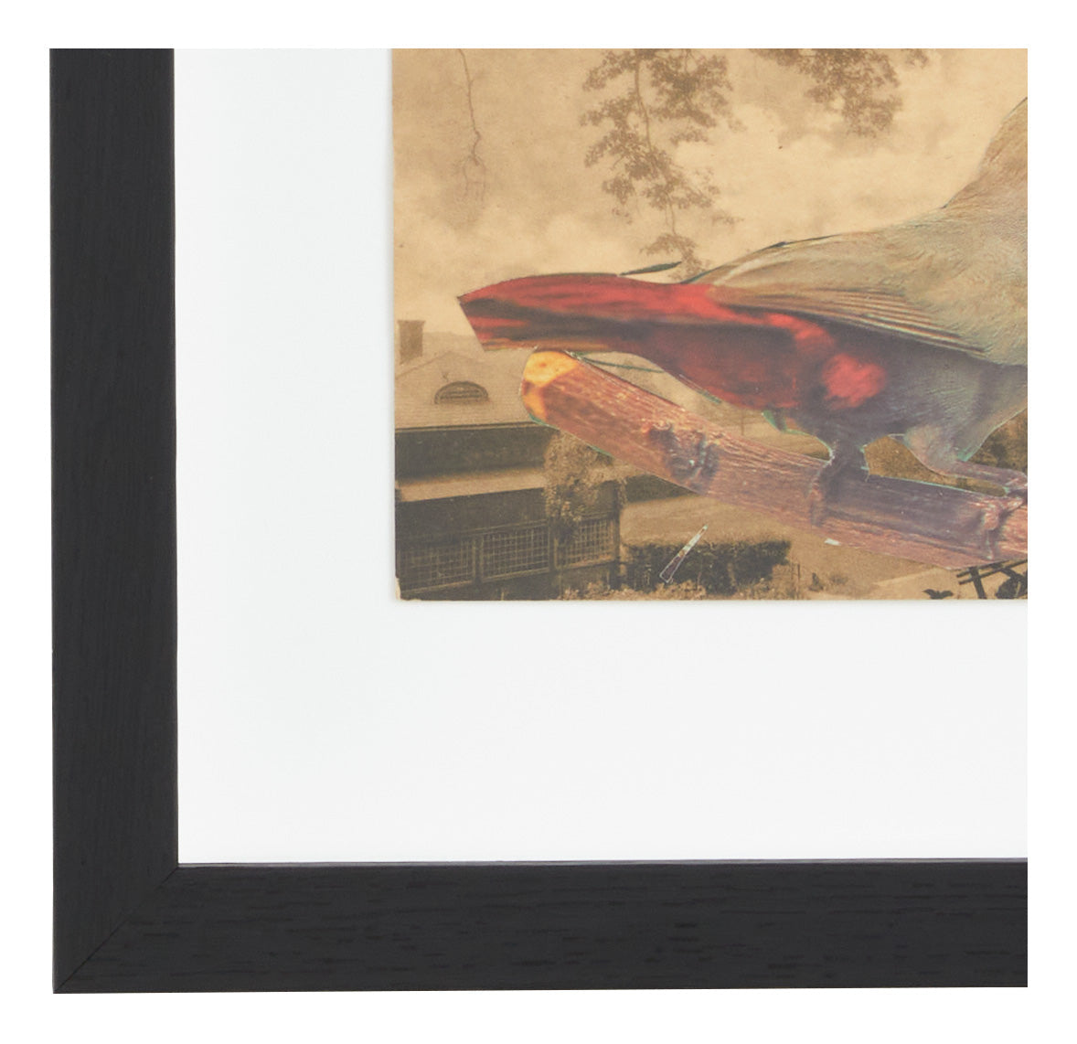Jayson Home - James Gallagher Still Life Collage #31