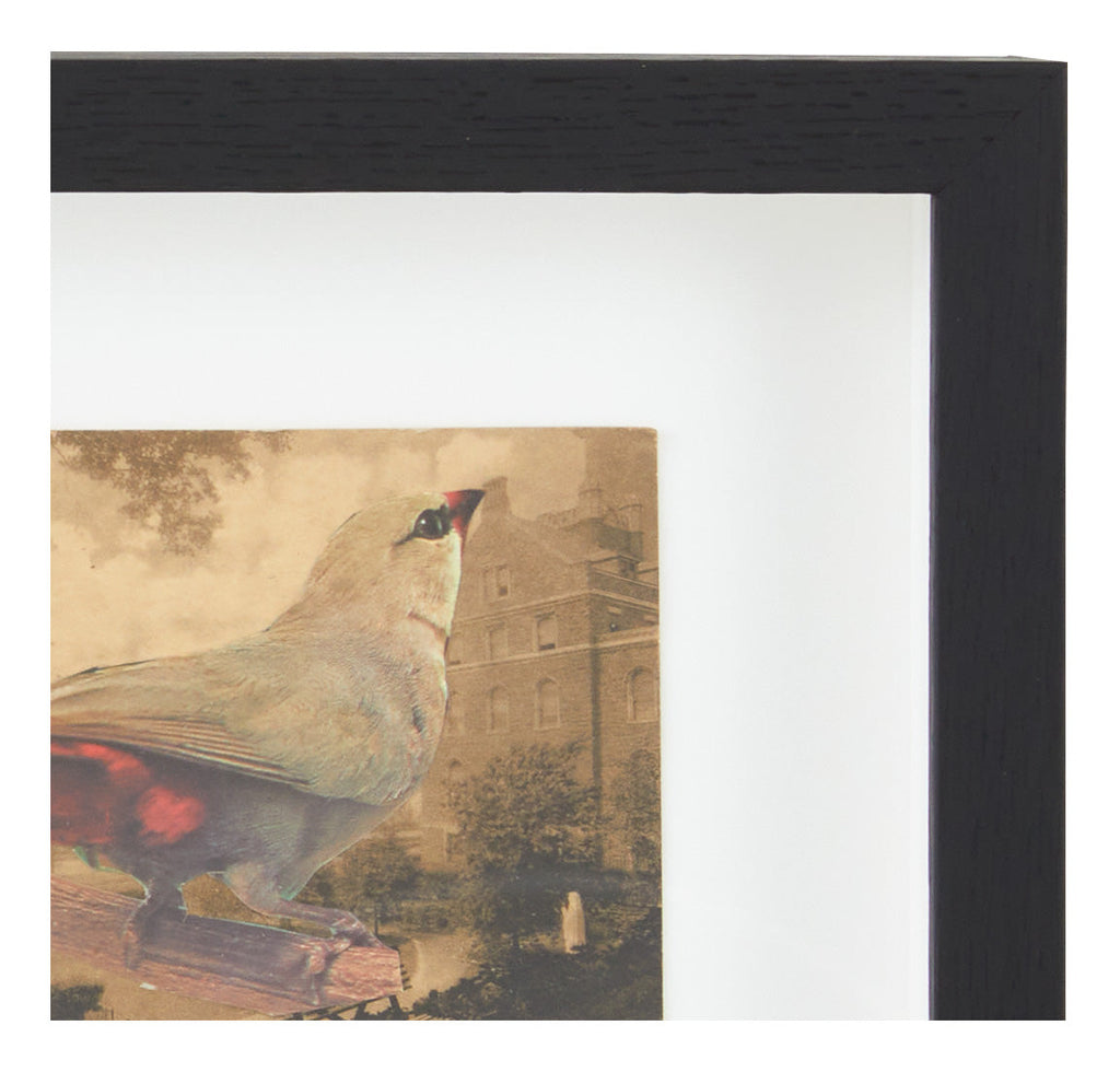 Jayson Home - James Gallagher Still Life Collage #31