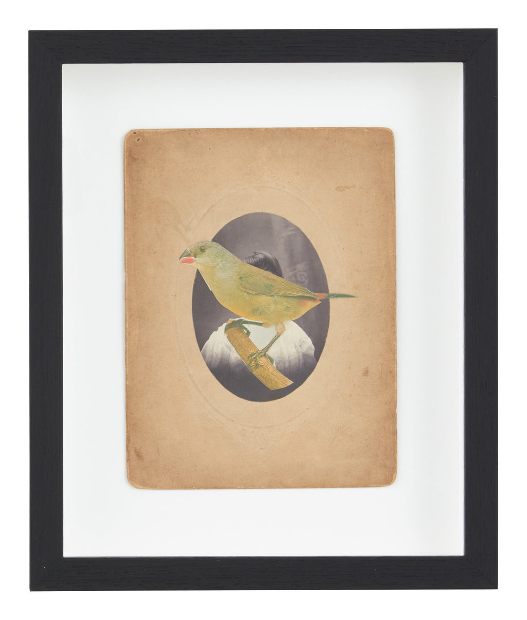 Jayson Home - James Gallagher Still Life Collage #32