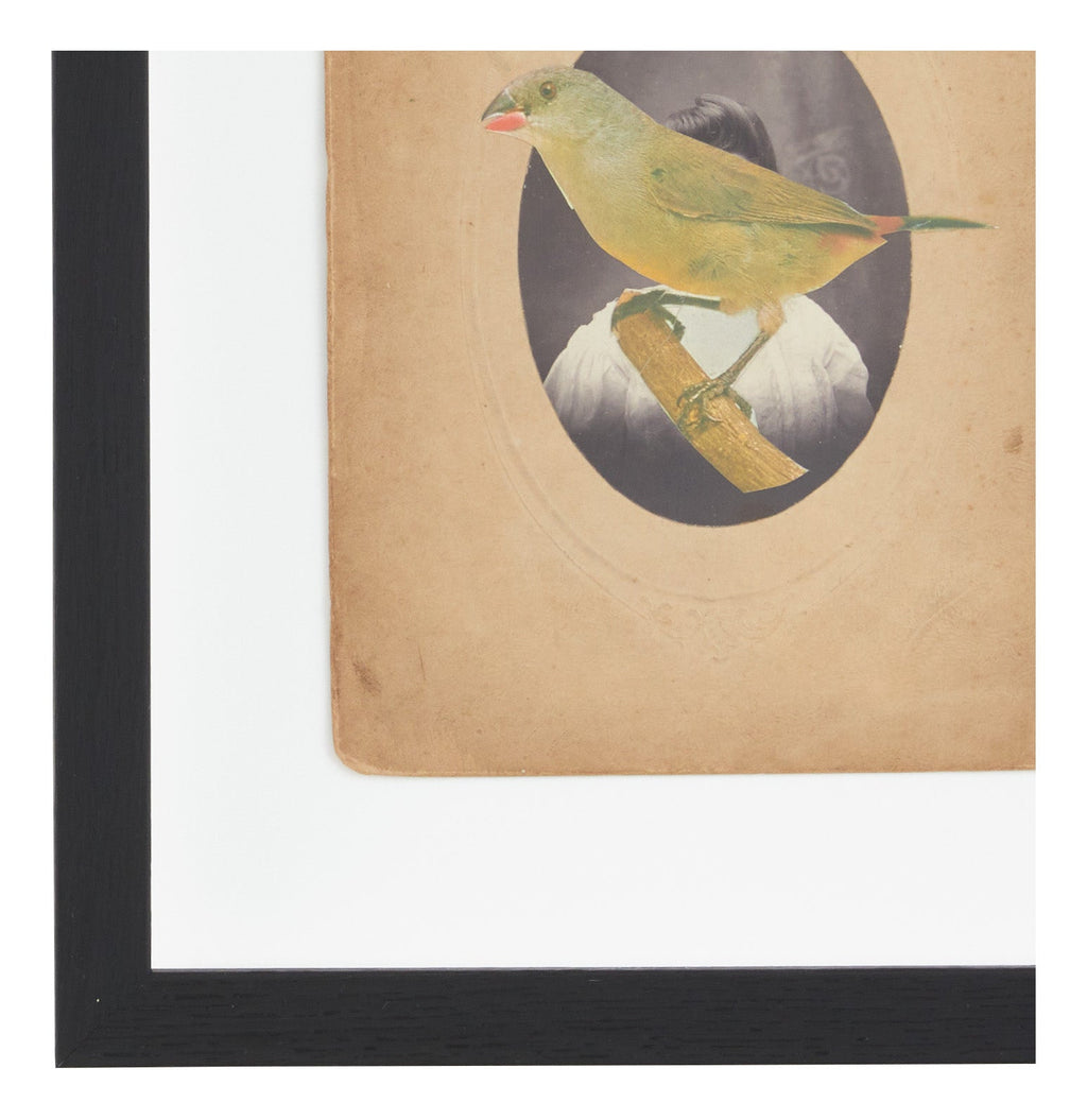 Jayson Home - James Gallagher Still Life Collage #32