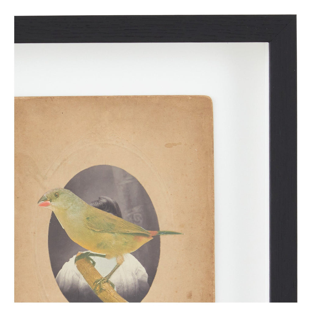 Jayson Home - James Gallagher Still Life Collage #32