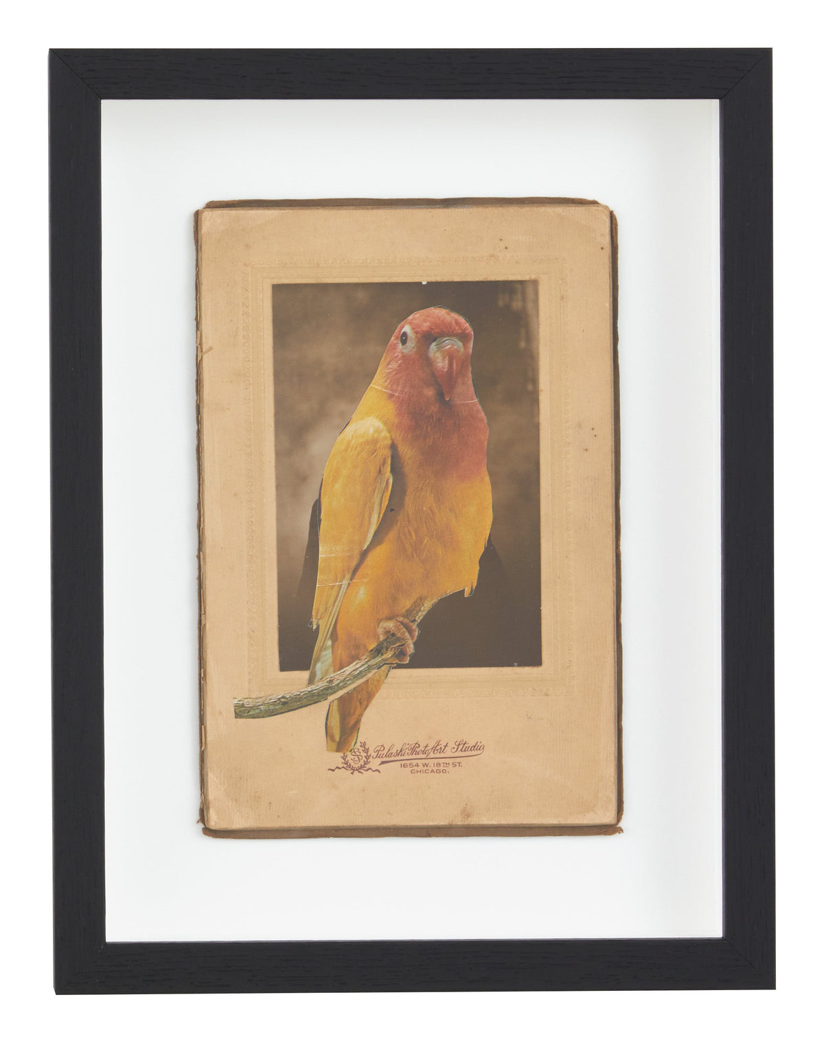 Jayson Home - James Gallagher Still Life Collage #33