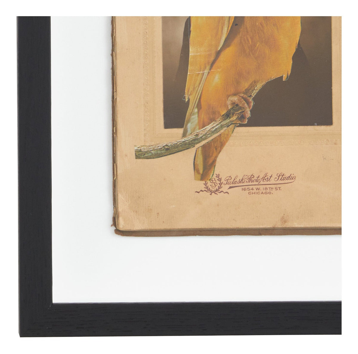 Jayson Home - James Gallagher Still Life Collage #33