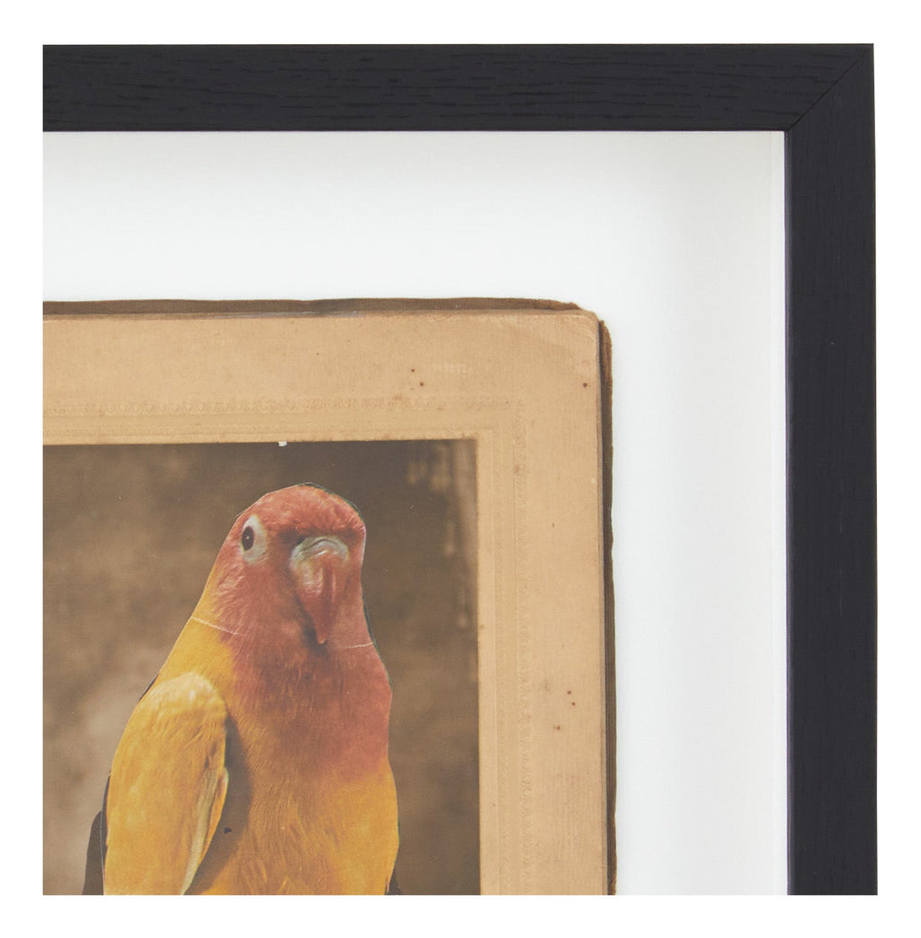 Jayson Home - James Gallagher Still Life Collage #33