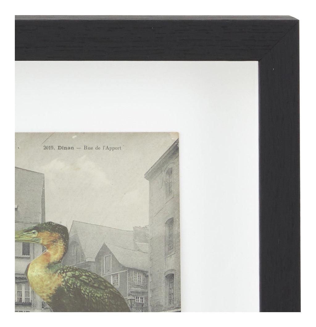 Jayson Home - James Gallagher Still Life Collage #46