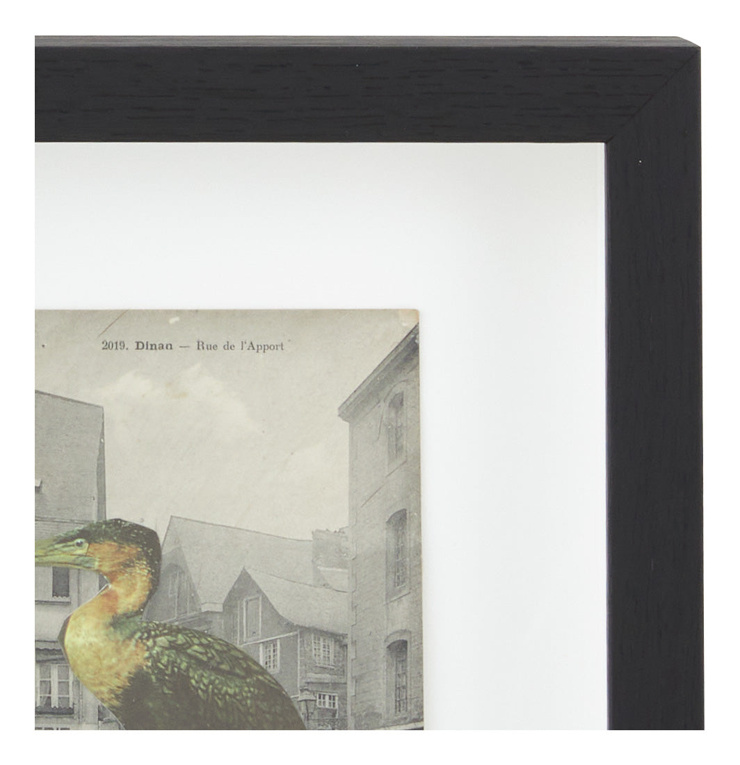 Jayson Home - James Gallagher Still Life Collage #46