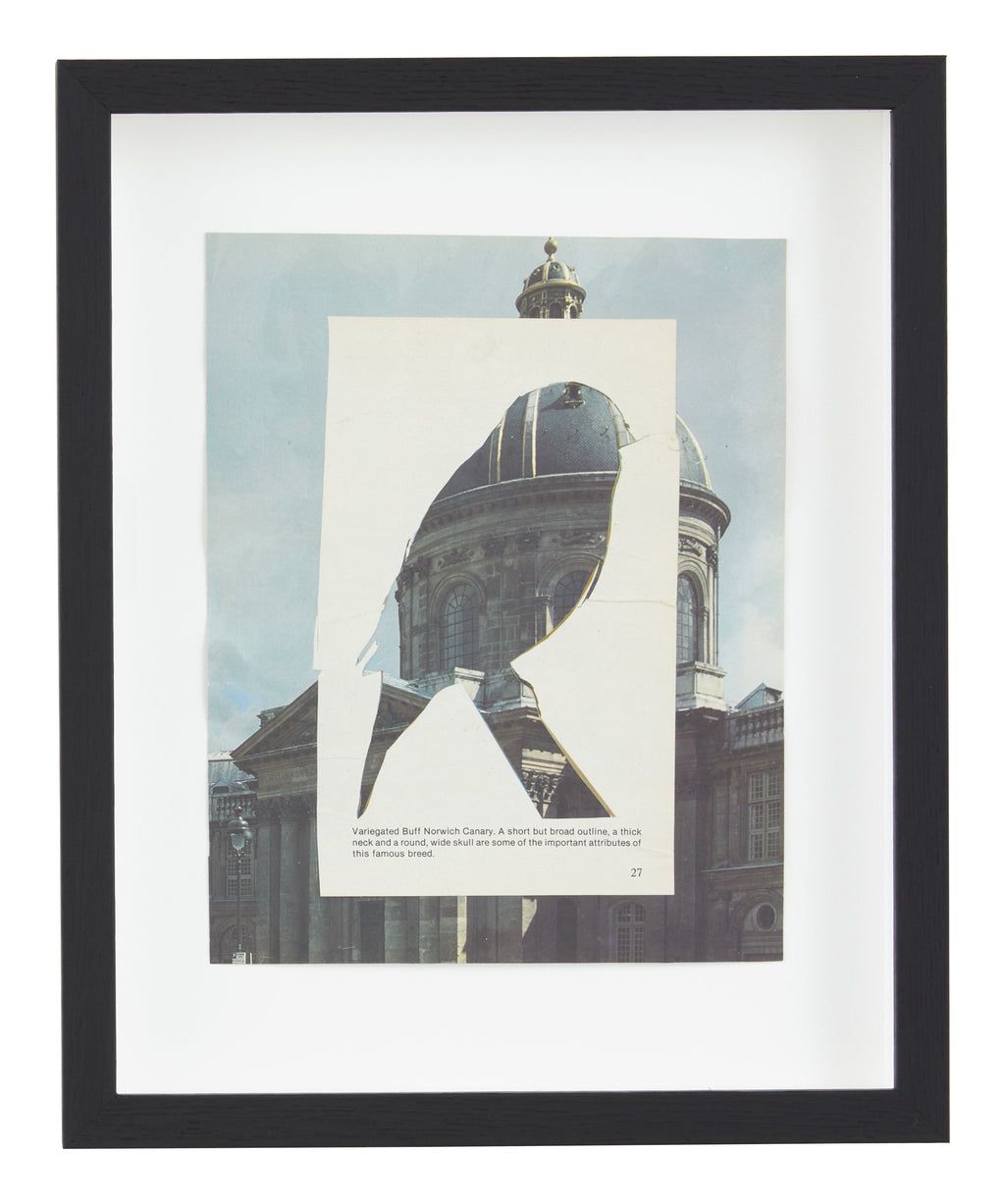 Jayson Home - James Gallagher Still Life Collage #50