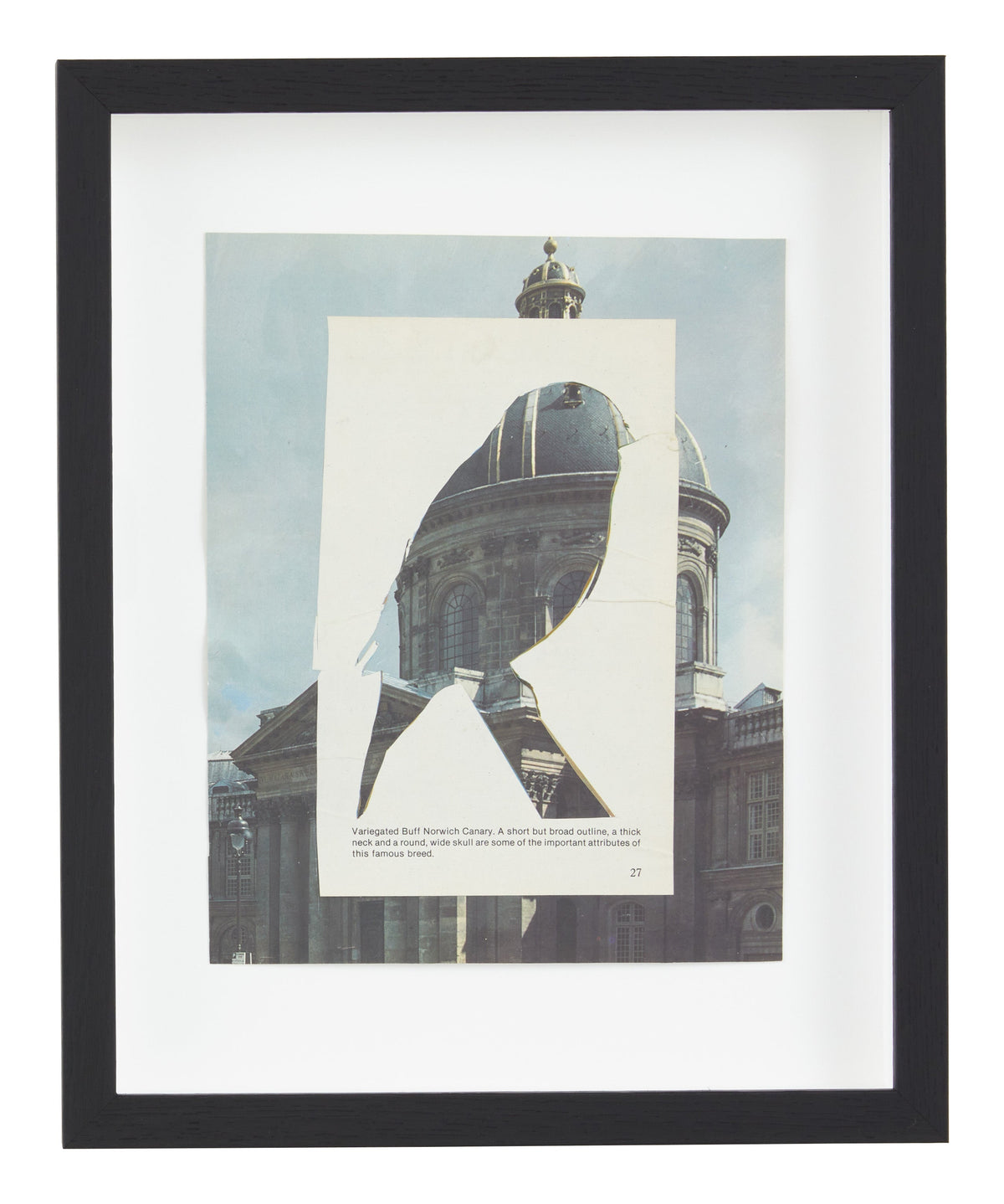 Jayson Home - James Gallagher Still Life Collage #50