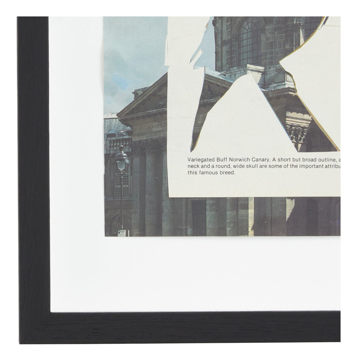 Jayson Home - James Gallagher Still Life Collage #50
