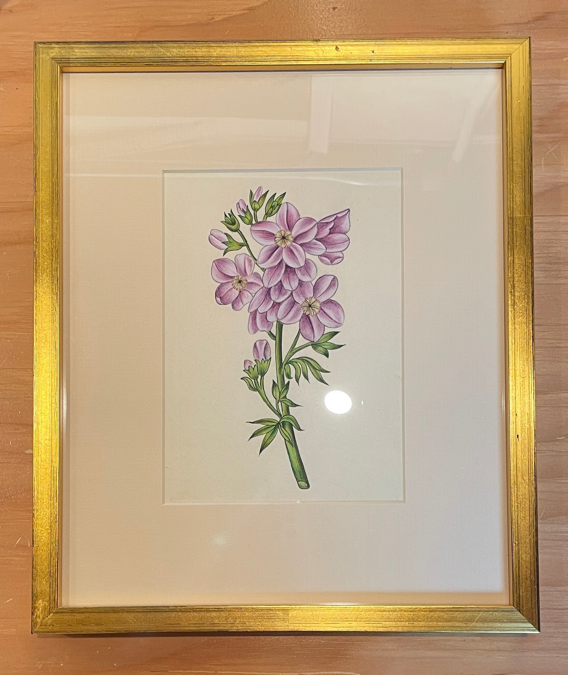 Nicky Kehoe - INDIAN BOTANICAL PAINTING