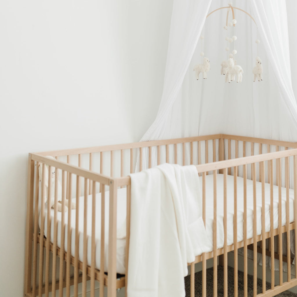 Cozy Earth - Bamboo Baby Blanket