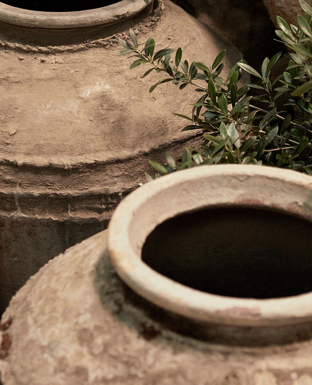 Olive Ateliers - Indo Pot - Ringed