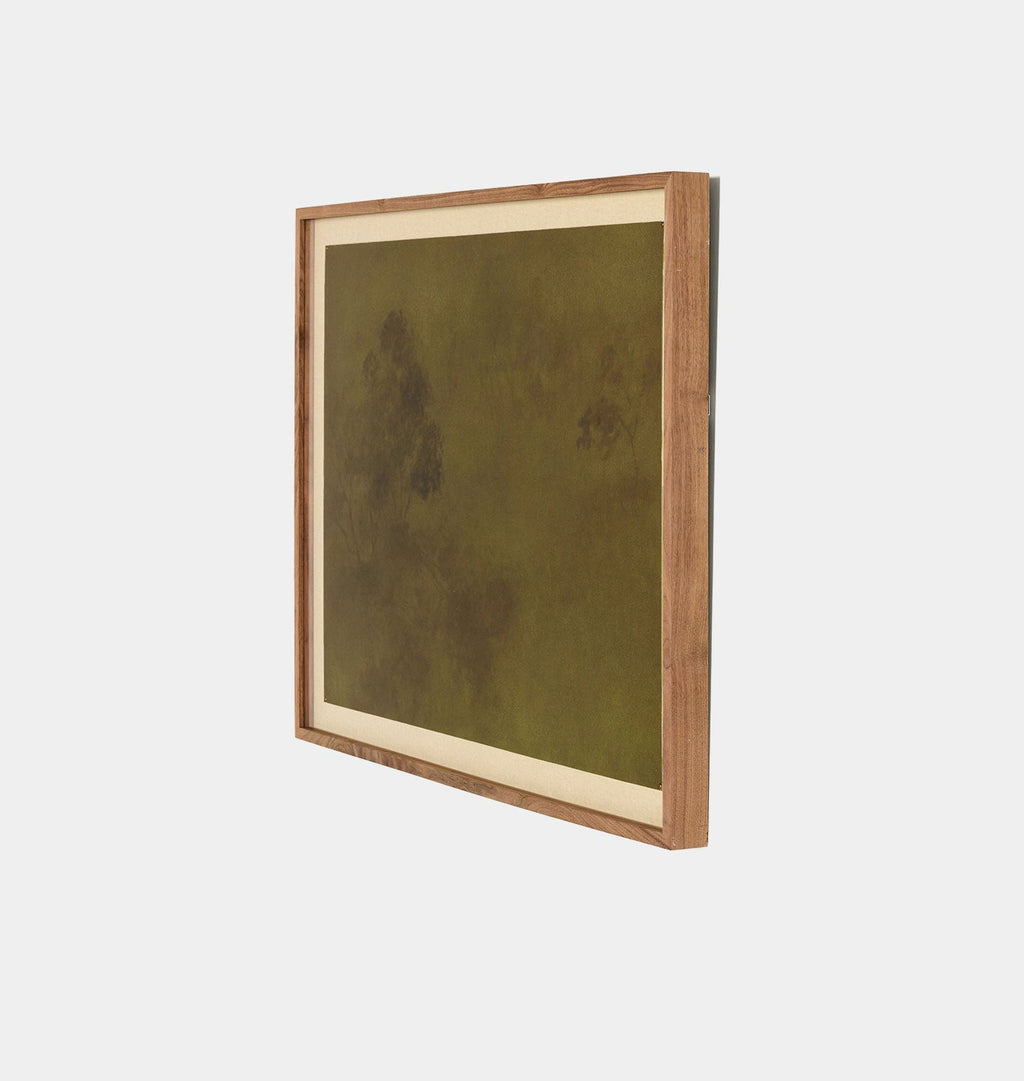 Amber Interiors - Intertwined