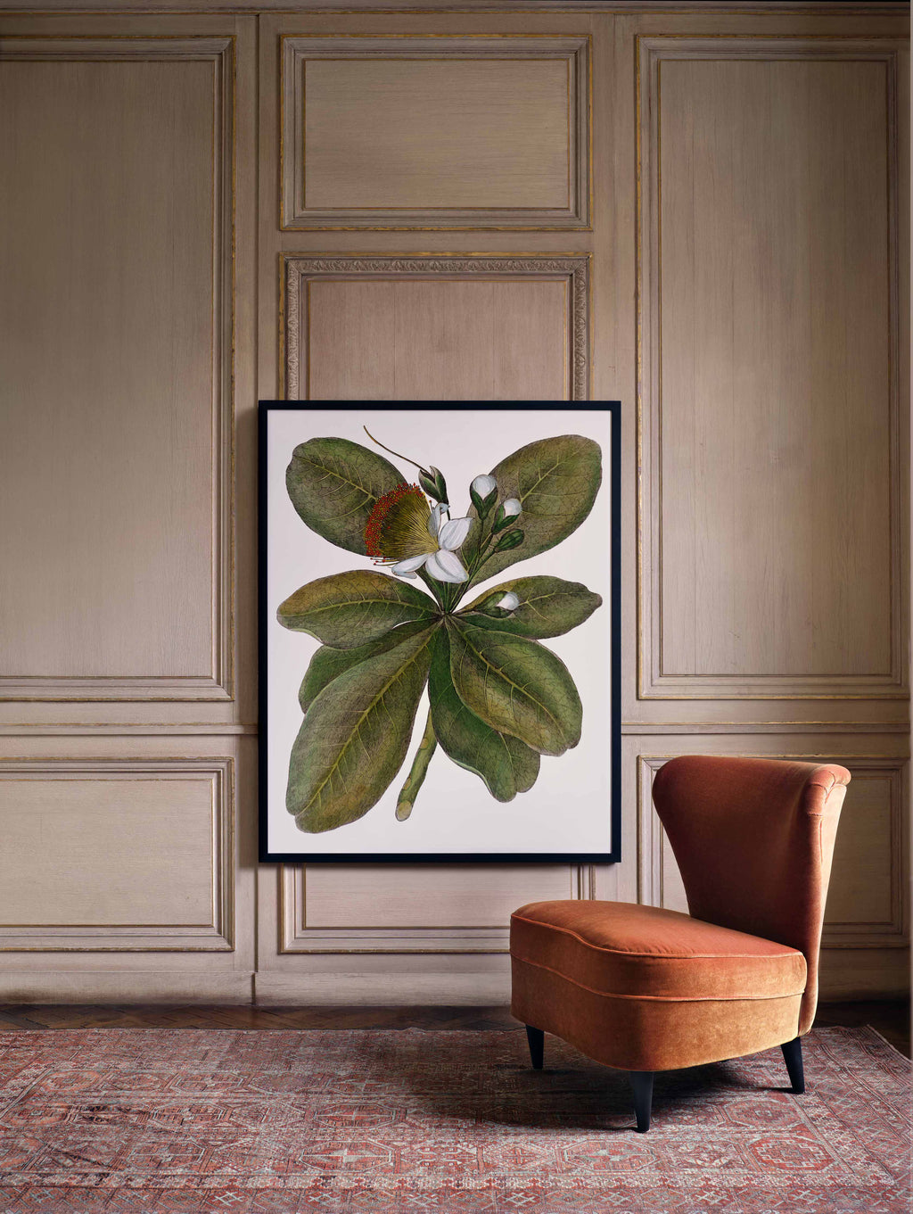 Jayson Home - Botanique Art